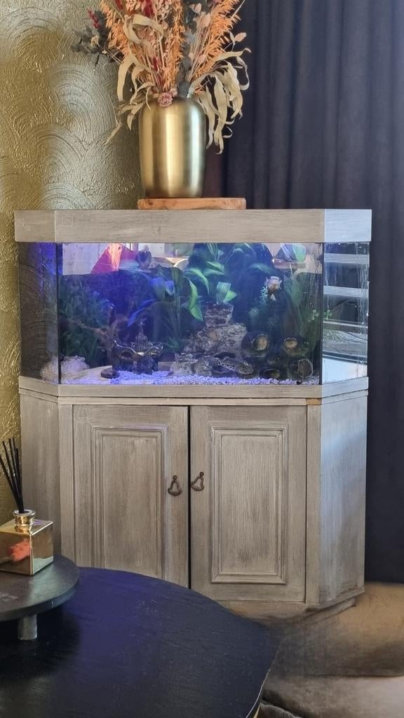 Aquarium, Ophalen