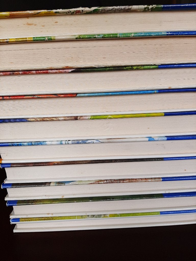 Goud-Elsje serie van 10 boeken, Boeken, Gelezen, Max de Lange-Praamsma, Verzenden, Nederland
