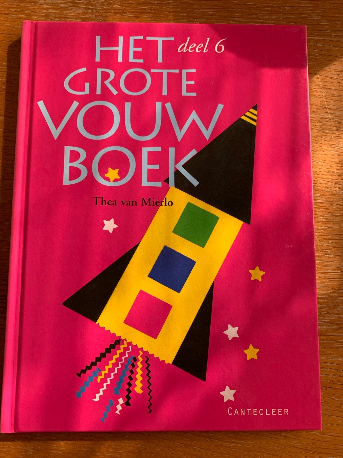 Het Grote Vouwboek deel 6 - Thea van Mierlo, Ophalen of Verzenden, Zo goed als nieuw, Non-fictie