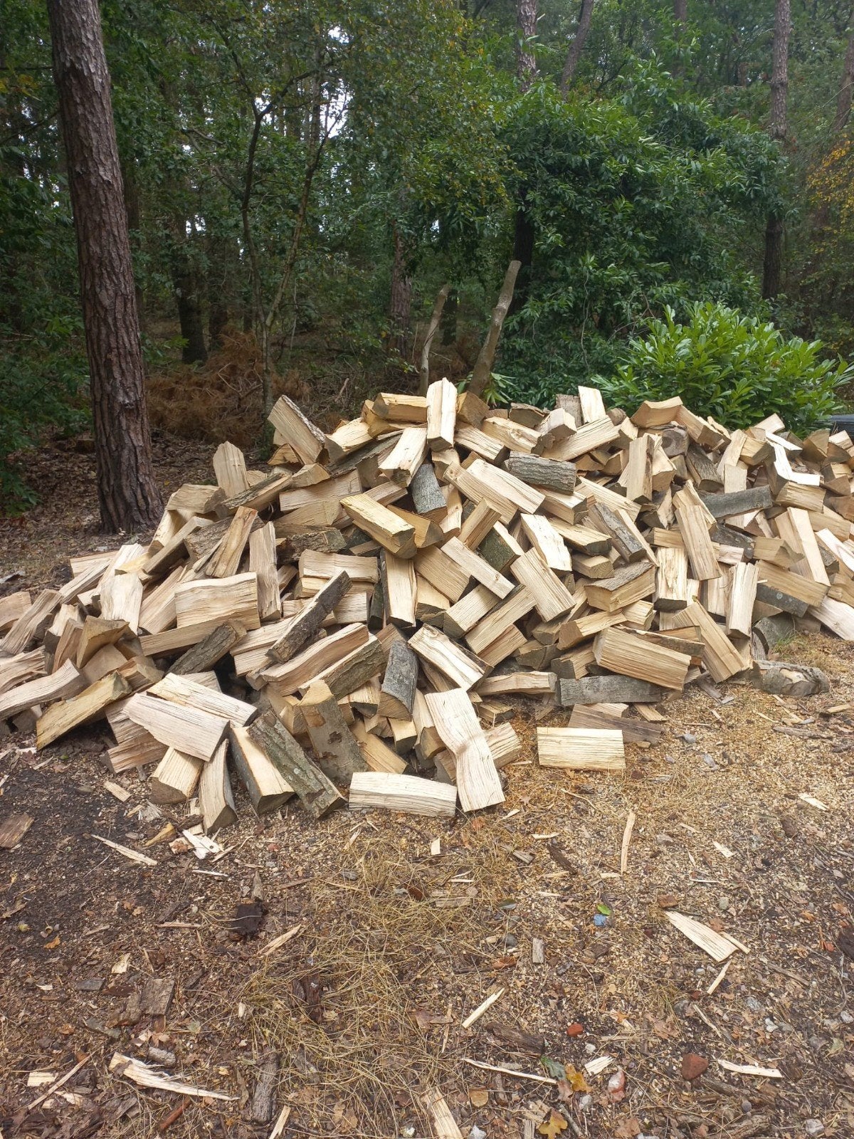 vers openhaardhout kachelhout brandhout mix eik en essen, 6 m³ of meer, Ophalen, Eikenhout, Blokken