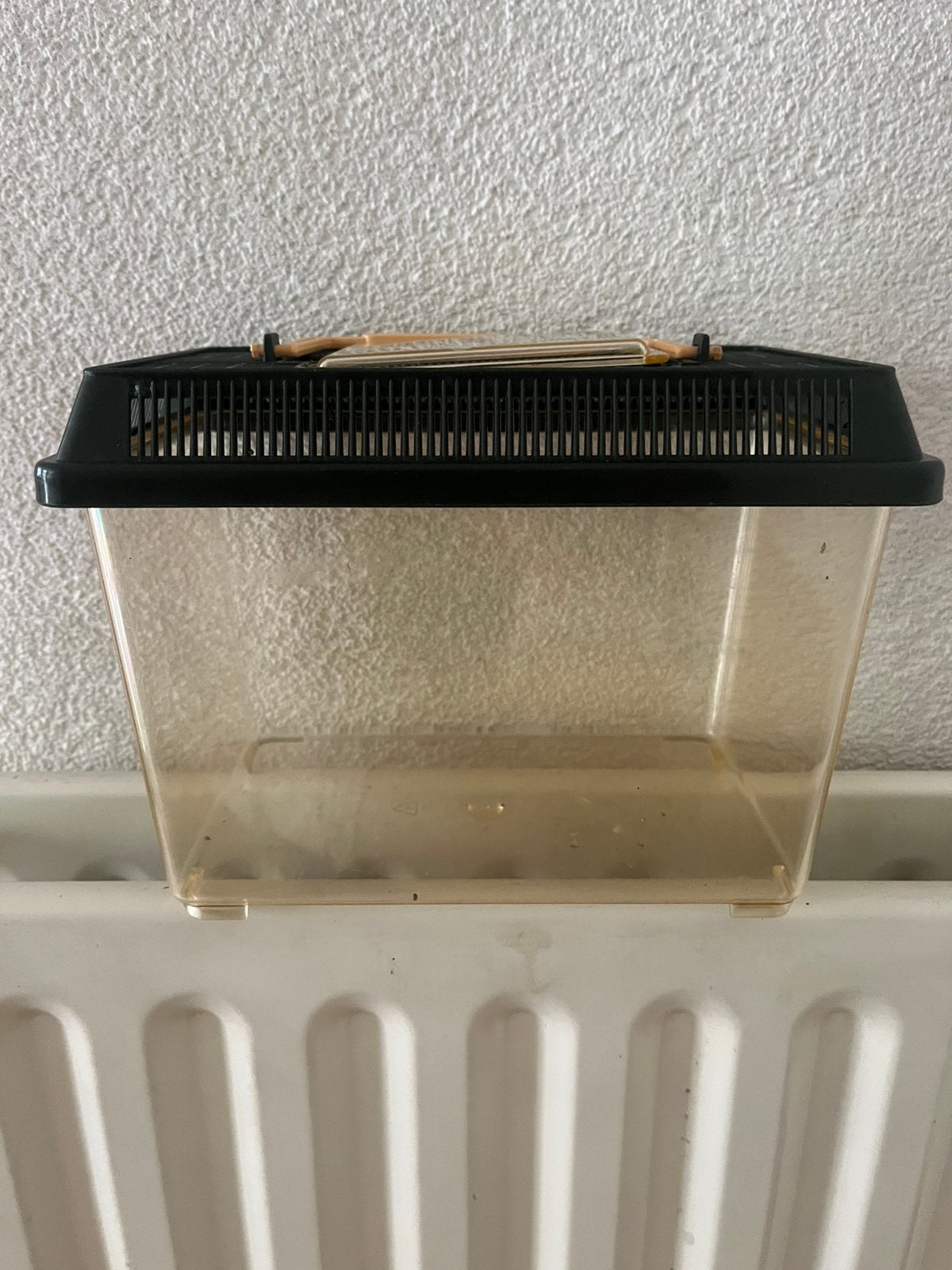 Plastic aquarium bakje met deksel, Ophalen of Verzenden, Gebruikt