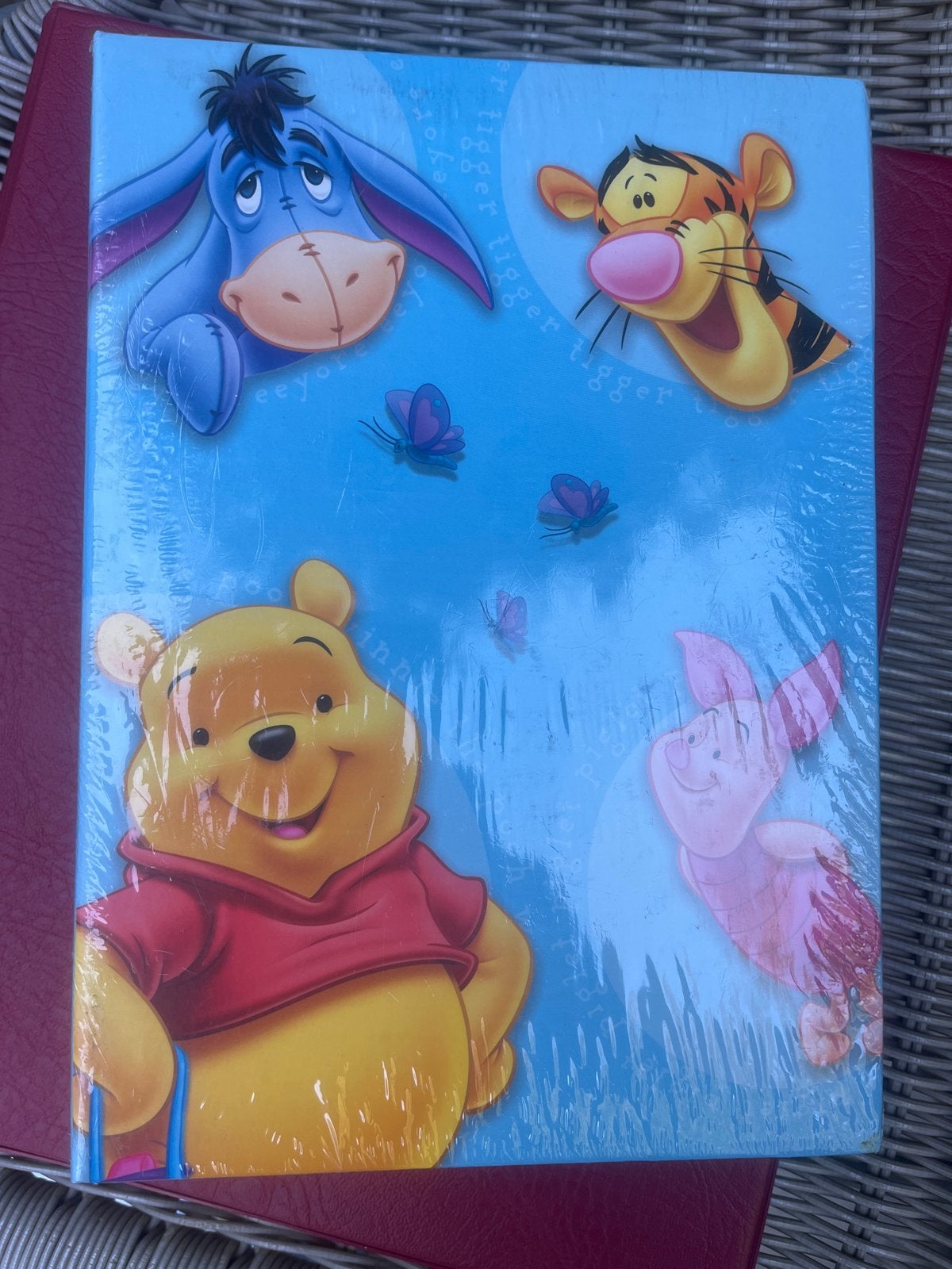 Gratis Disney Winnie de Poeh Fotoalbum - Nieuw GRATIS, Nieuw, Met insteekhoezen, Insteekalbum, Disney