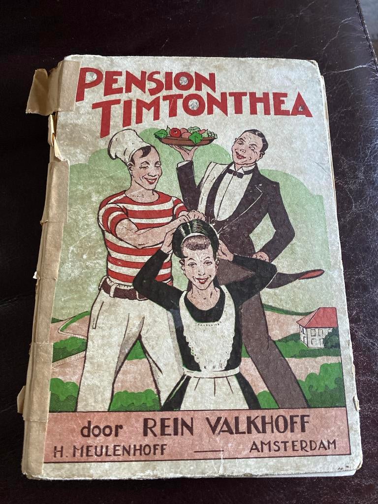 Pension Timtonthea - Rein Valkhoff (Zeer gelezen), Ophalen of Verzenden, Gelezen, Nederland