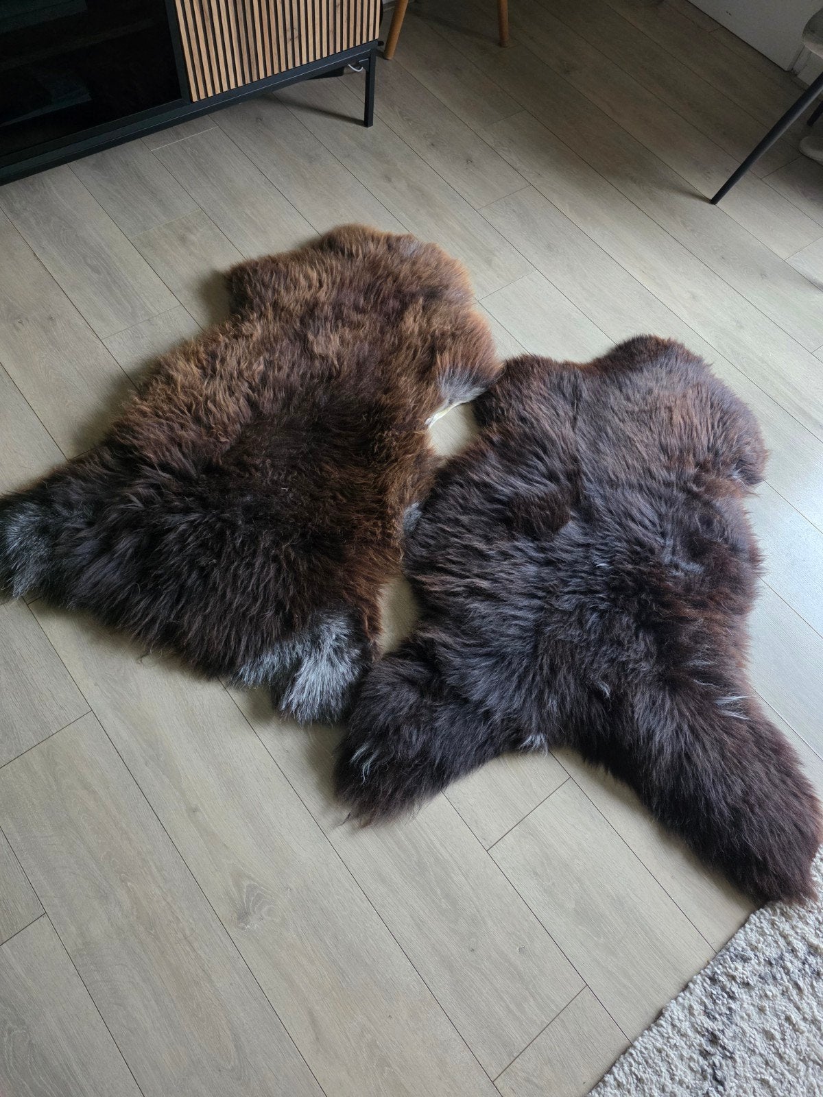 schapenvachten 2stuks bruin., Ophalen of Verzenden, Nieuw