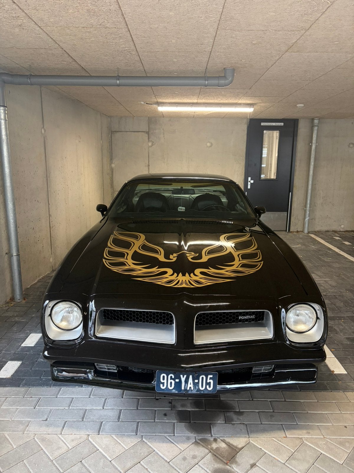 Pontiac Firebird 1976 5.7, foto 4
