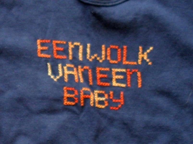 Shirt - longsleeve met handgeborduurde tekst erop - Hema, Gebruikt, Ophalen of Verzenden, Hema, Jongetje