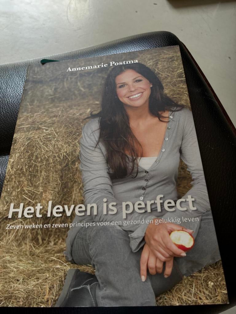 Het leven is perfect - Annemarie Postma, Ophalen of Verzenden, Nieuw