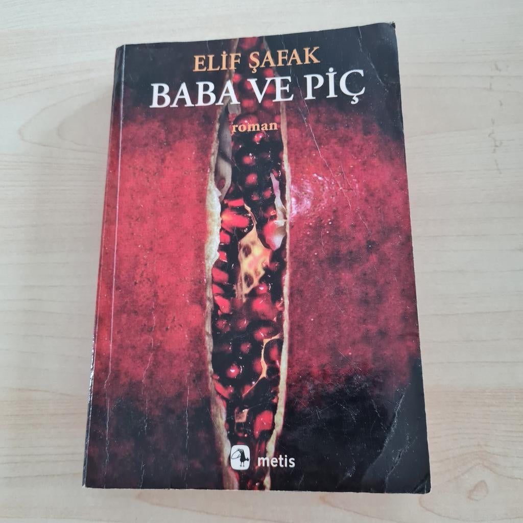 Elif Safak - Baba en Pic (Turkse roman) Turkce kitap, Ophalen of Verzenden, Wereld overig