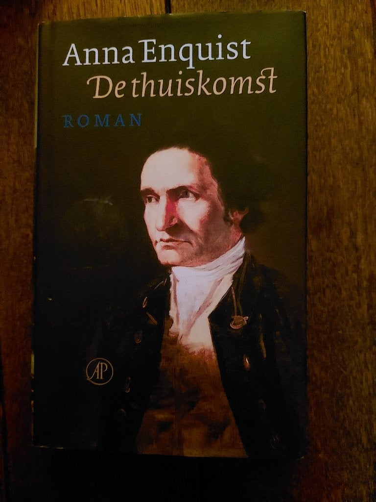 de thuiskomst- Anna Enquist, Boeken, Romans, Zo goed als nieuw, Nederland, Ophalen of Verzenden