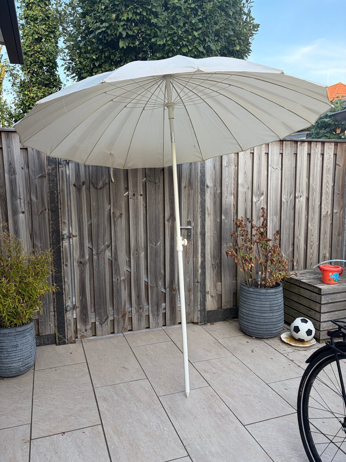 Parasol - Gratis