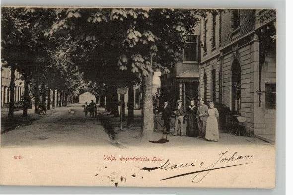 Velp Rosendaalsche Laan  st 1903 Prachtkaart, Verzenden, Voor 1920, Gelopen, Gelderland
