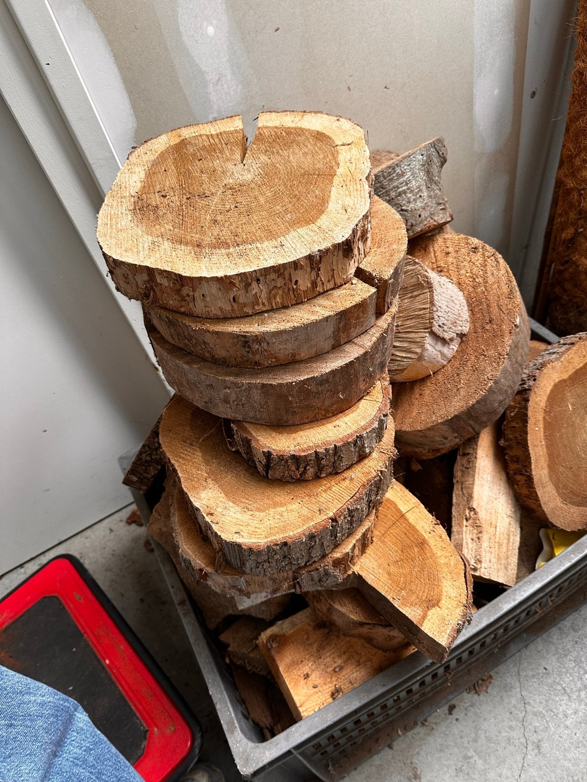 Decoratieve boomstam schijven - per stuk beschikbaar, Hout, Gebruikt, Ophalen of Verzenden, Landelijk