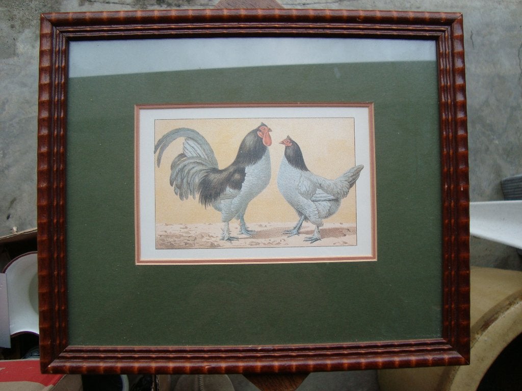 Kippen schilderij, Ophalen of Verzenden, Zo goed als nieuw