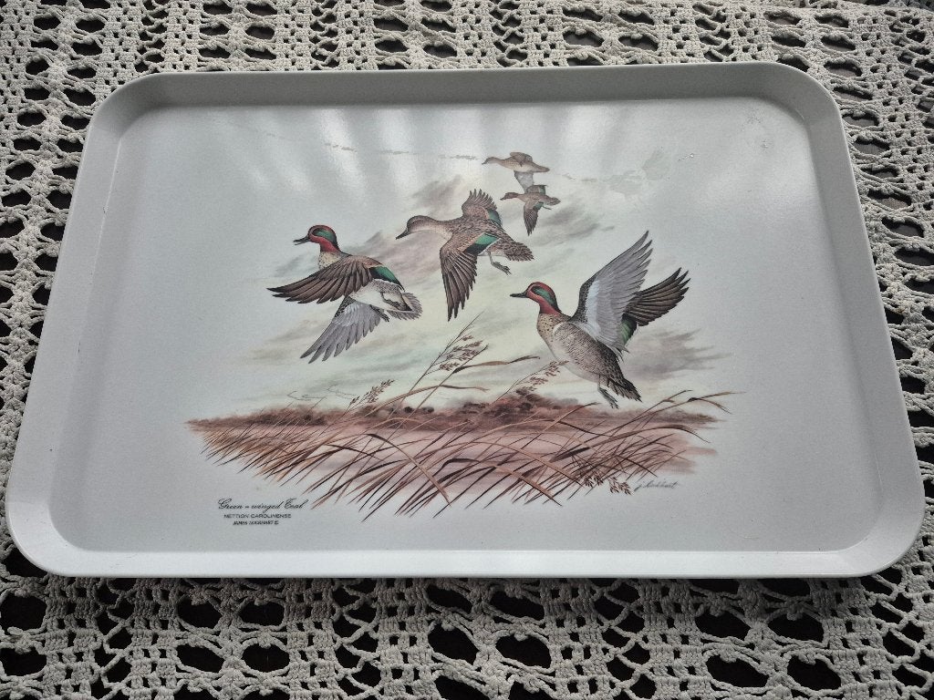 James Lockhart Melamine Dienblad - Made in Italy, Kunststof, Gebruikt, Afgeronde hoeken, Ophalen of Verzenden