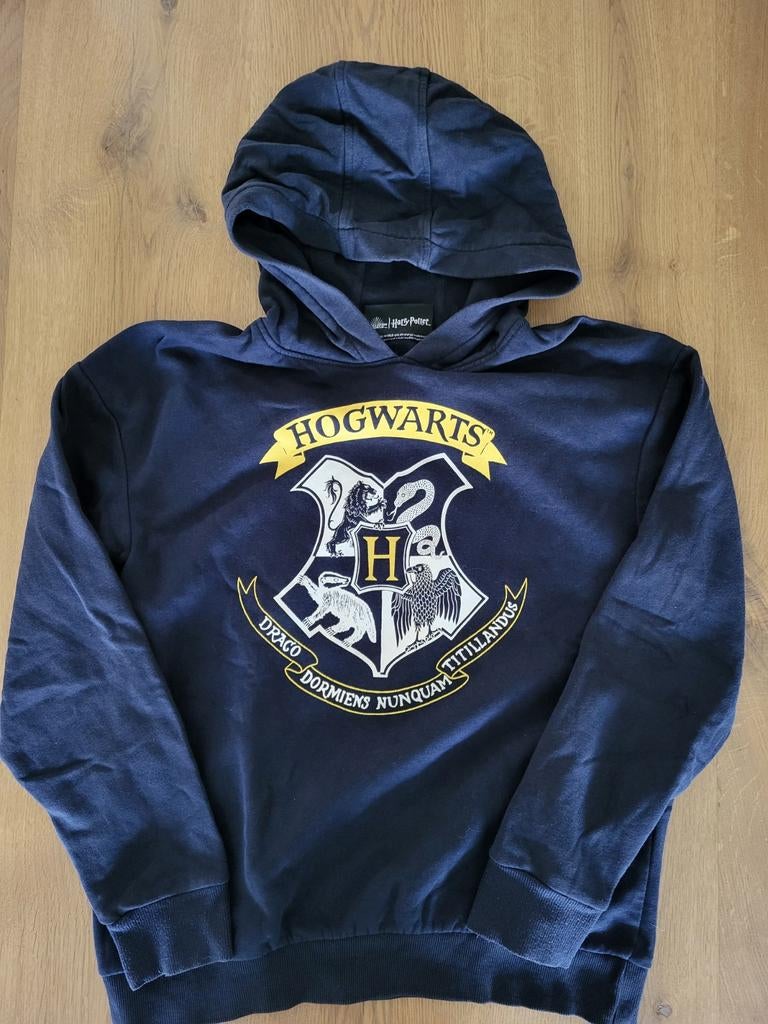 Harry Potter trui 158/164 zgan, Jongen of Meisje, Trui of Vest, Ophalen of Verzenden, Zo goed als nieuw