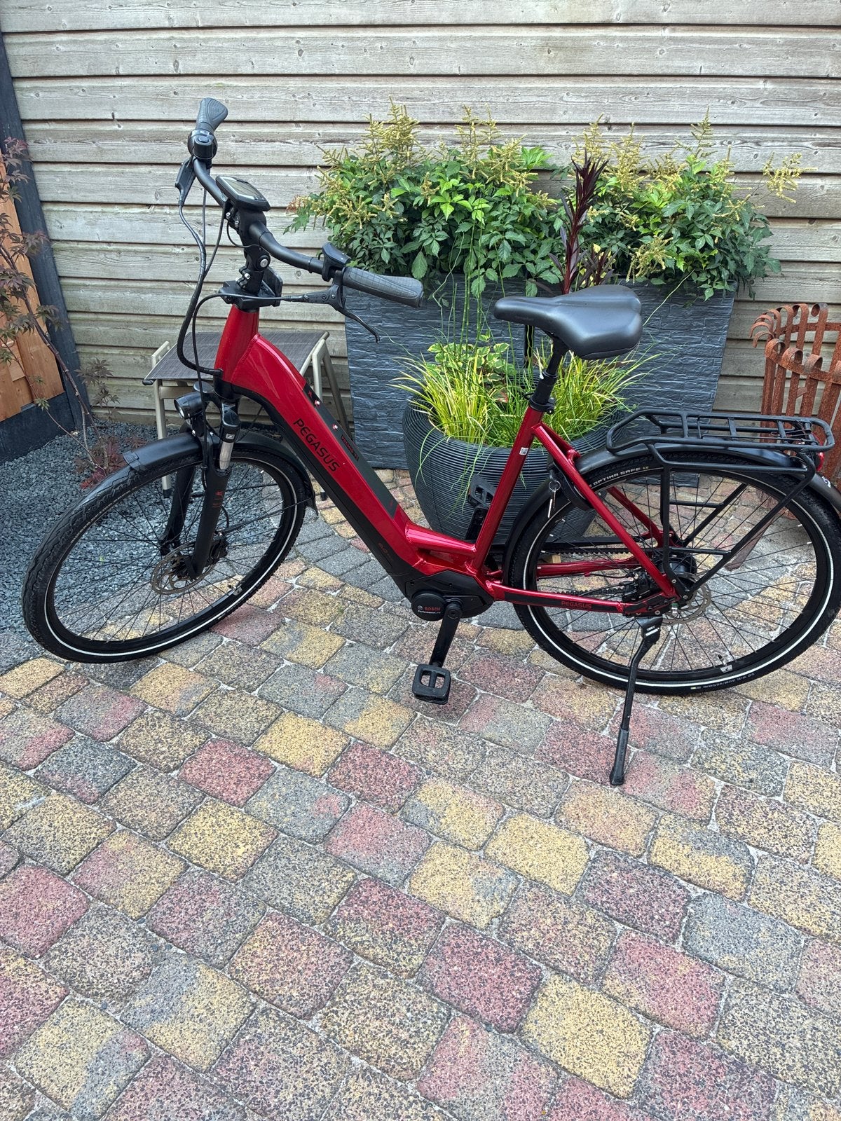 Pegasus Premio Evo - Framemaat 55, Gebruikt, 50 km per accu of meer, 55 tot 59 cm, Ophalen