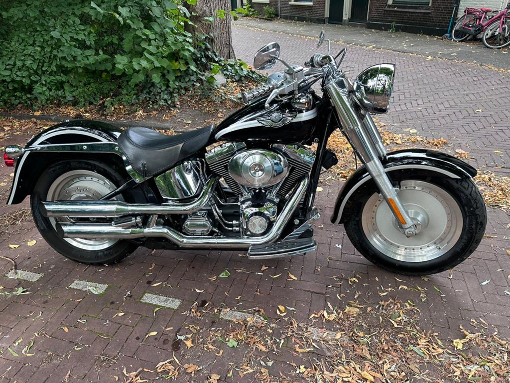 Schitterende Fatboy 2003 Anniversary FLSTF, Motoren, Motoren | Harley-Davidson, Particulier, Toermotor, meer dan 35 kW, 2 cilinders