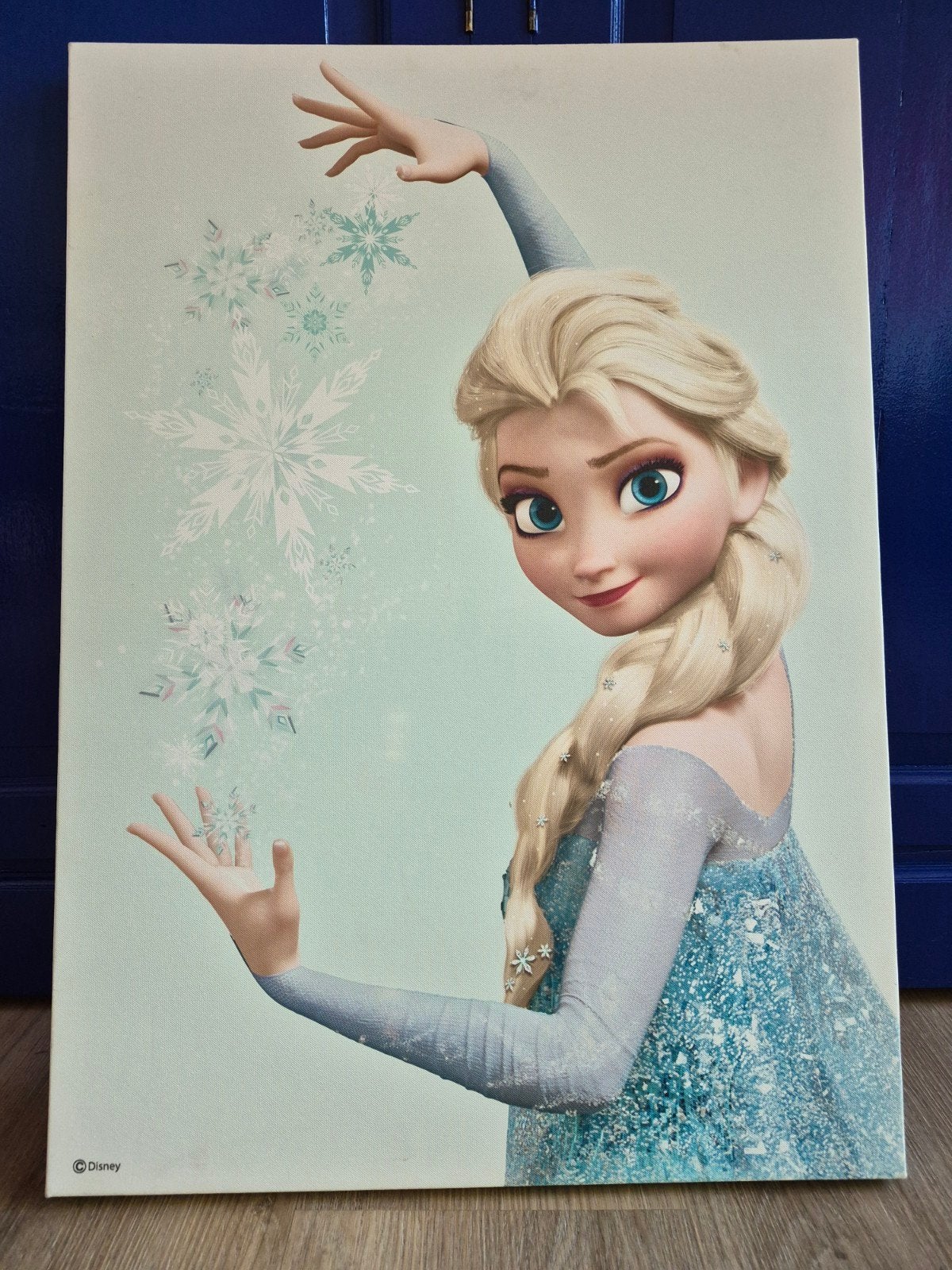 Disney Frozen Elsa doek/schilderij, Verzamelen, Disney, Ophalen, Overige figuren, Zo goed als nieuw