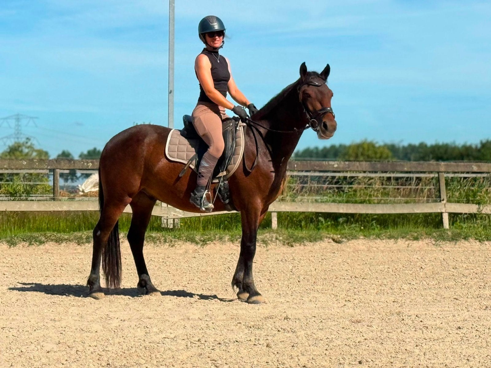Veel belovende connemara ruin, Dieren en Toebehoren, Pony's, Ruin, 3 tot 6 jaar, D pony (1.37m tot 1.48m), Met stamboom