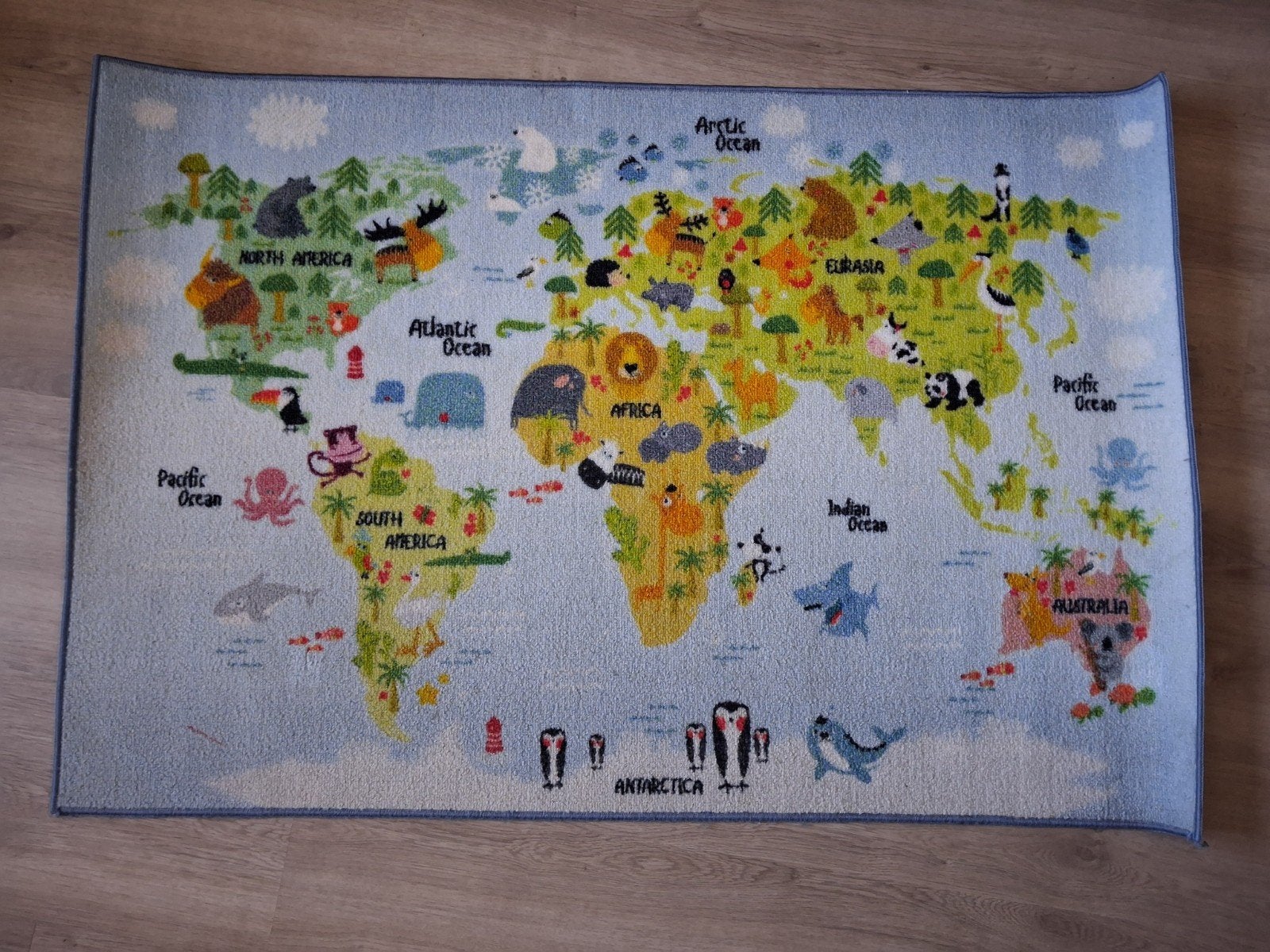 Wereldkaart Vloerkleed 80x120 cm, Ophalen, Zo goed als nieuw, Kleed of Kussen