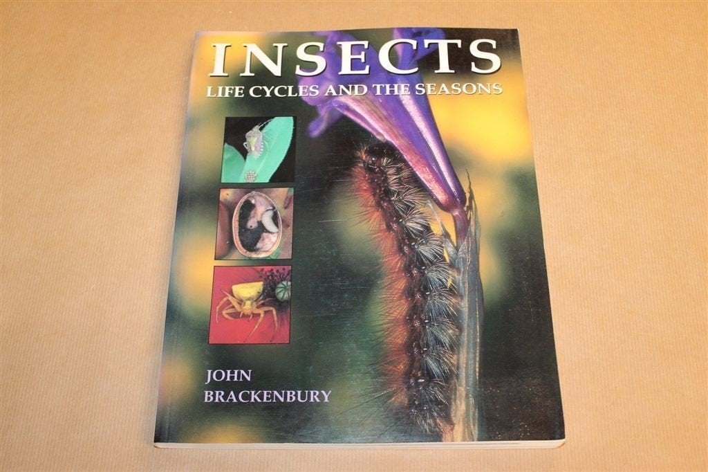 Insecten — Levenscyclus en Seizoenen — Natuur [EN], Ophalen of Verzenden, Gelezen, Overige diersoorten