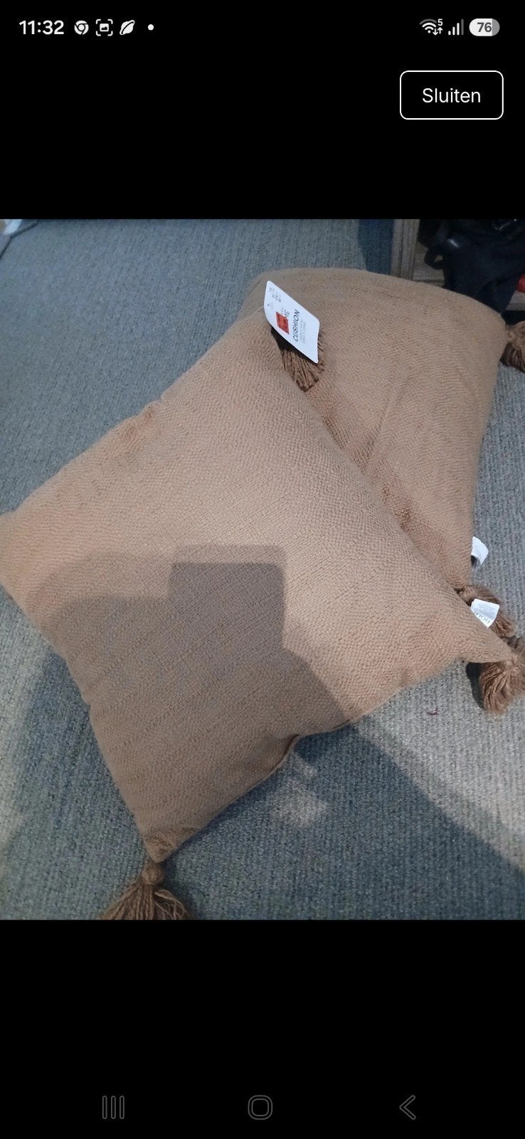 Mooie Sierkussens, Huis en Inrichting, Woonaccessoires | Kussens, Ophalen, Overige merken, Beige, Vierkant