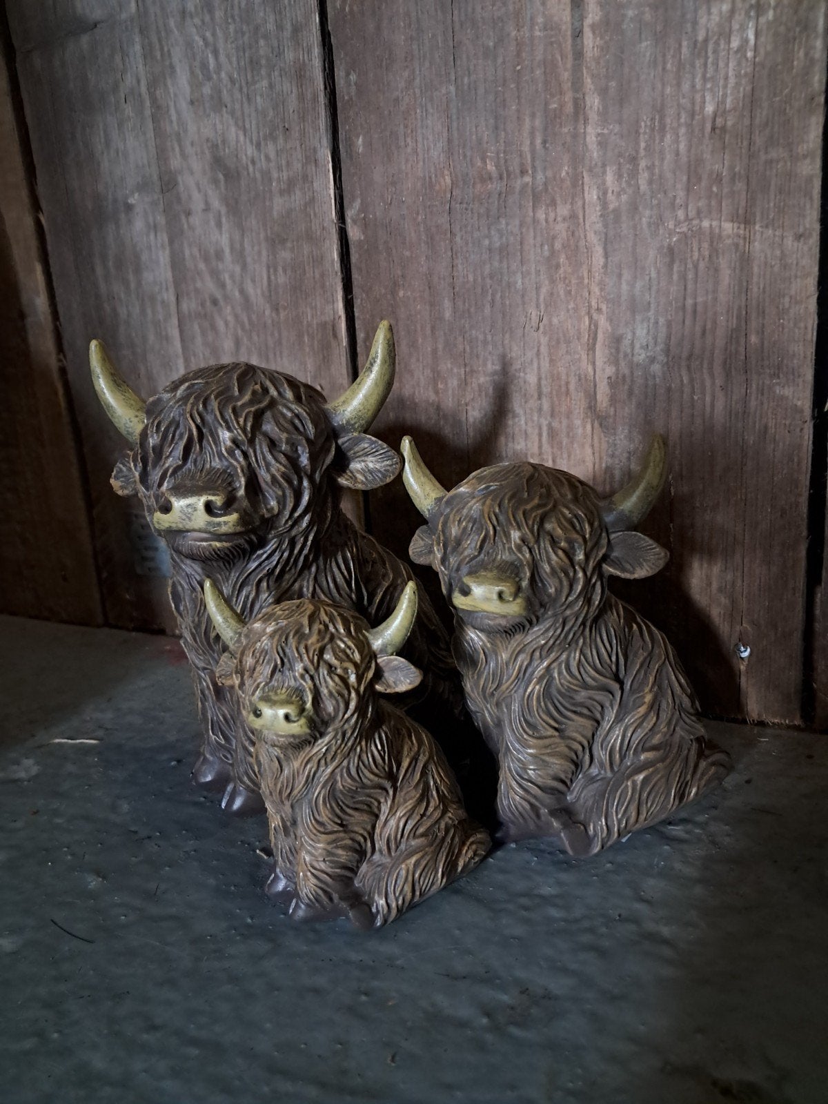 Hooglanders 
Klein €6,50 p.s.
Middel €8,50 p.s.
Groot €12,, Ophalen of Verzenden, Nieuw
