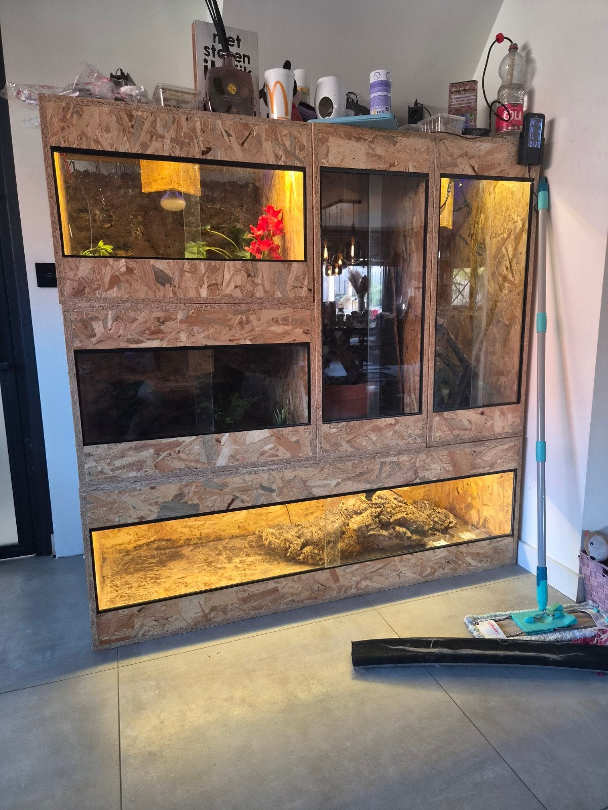 terrarium wand, Ophalen