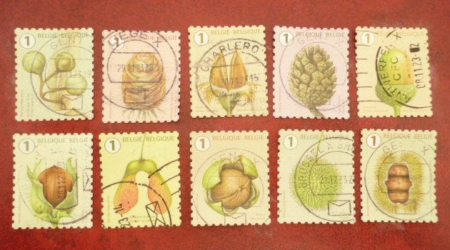 Lot Belgie gestempeld serie rolzegel boomvrucht 2021, Ophalen of Verzenden, Gestempeld