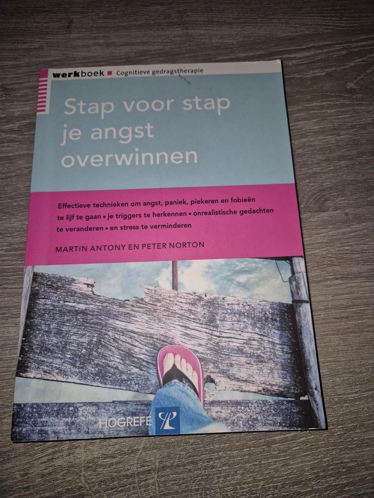 Werkboek Cognitieve Gedragstherapie: Angst Overwinnen, Ophalen of Verzenden