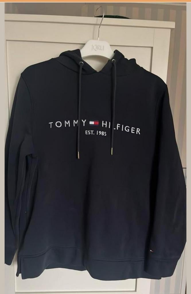 Zeer goed uitziende Tommy Hilfiger hoody, Ophalen of Verzenden, Zo goed als nieuw
