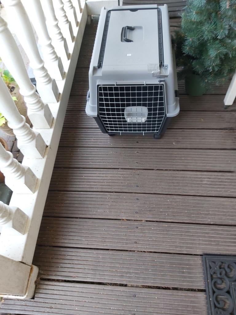 Grote Bench voor hond of kat, Dieren en Toebehoren, Ophalen of Verzenden, Zo goed als nieuw, Minder dan 75 cm, Minder dan 65 cm