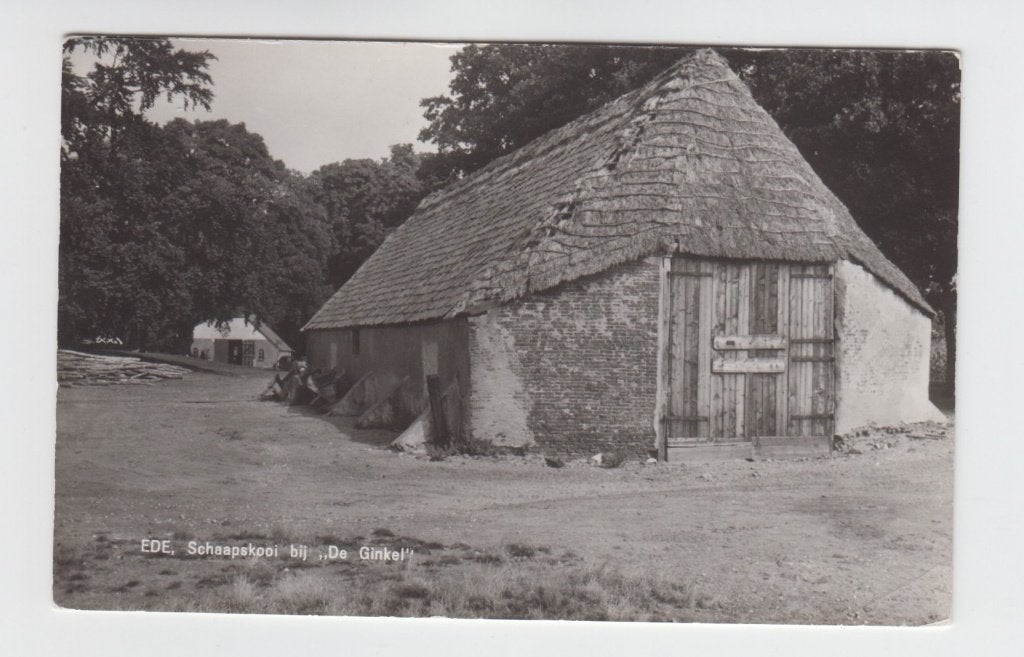 339 Ede, Schaapskooi bij De Ginkel B16, Verzenden, 1940 tot 1960, Ongelopen, Gelderland