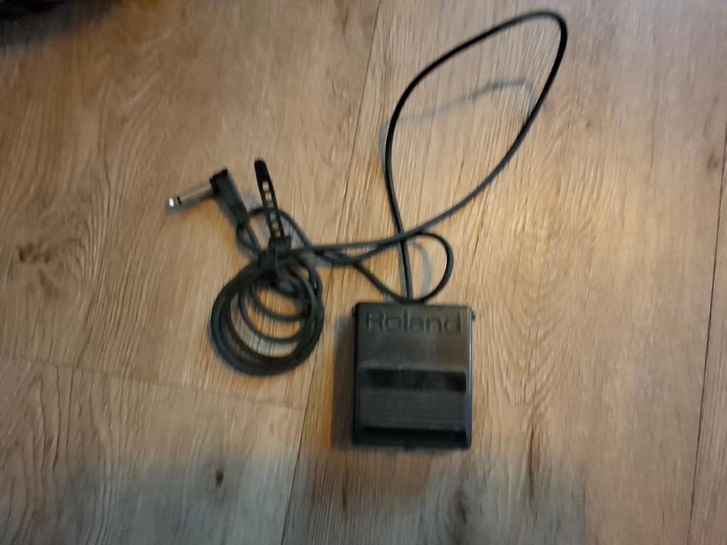 Roland DP-2 Sustain Pedaal voor Keyboards/Synthesizers, Ophalen of Verzenden, Gebruikt, Overige typen