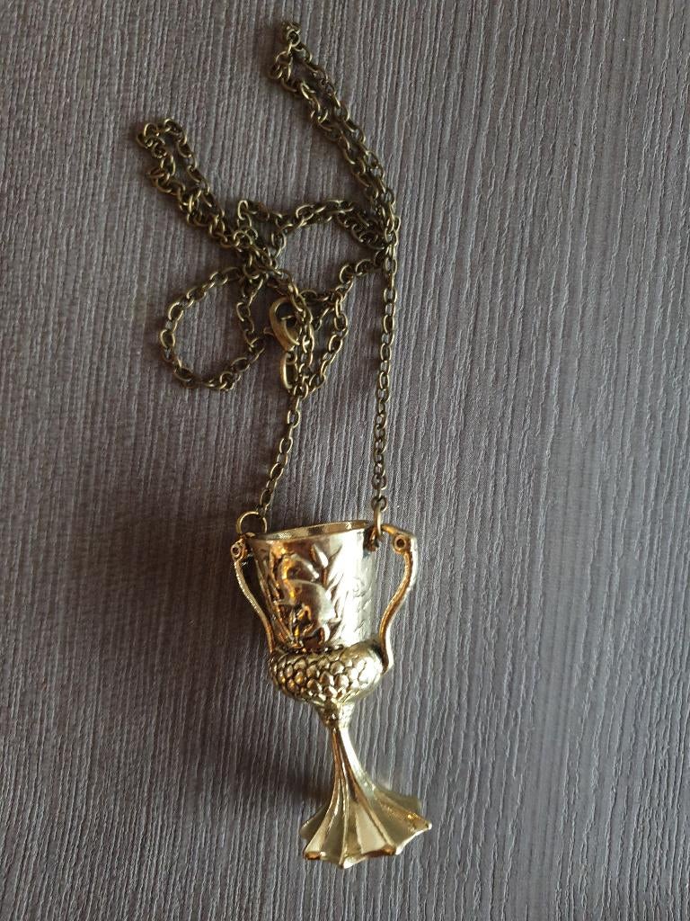 ketting uit harry potter, Verzamelen, Harry Potter, Ophalen of Verzenden, Nieuw, Overige typen