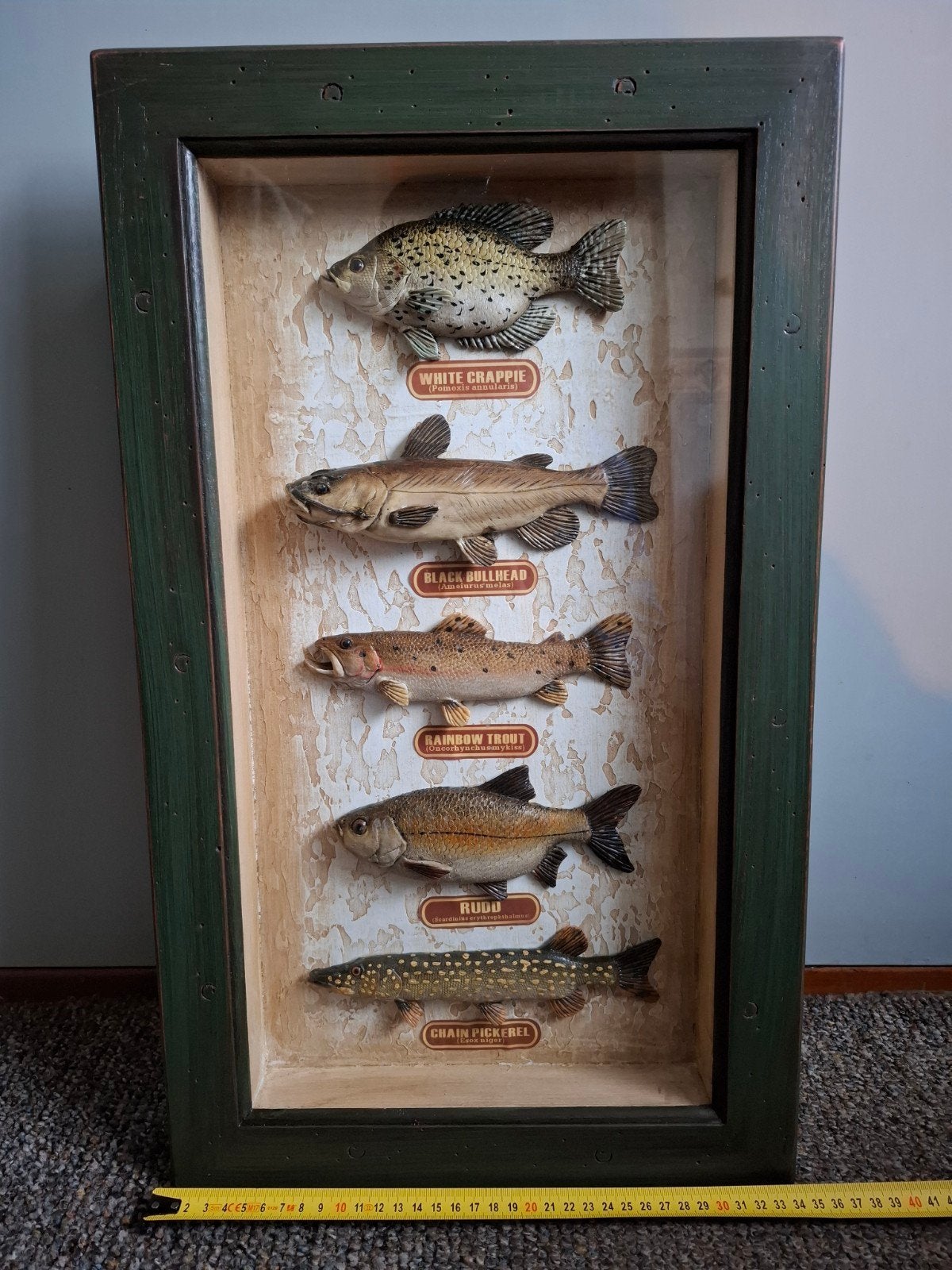 Vissen schilderij wanddecoratie vis decoratie zgn, Ophalen