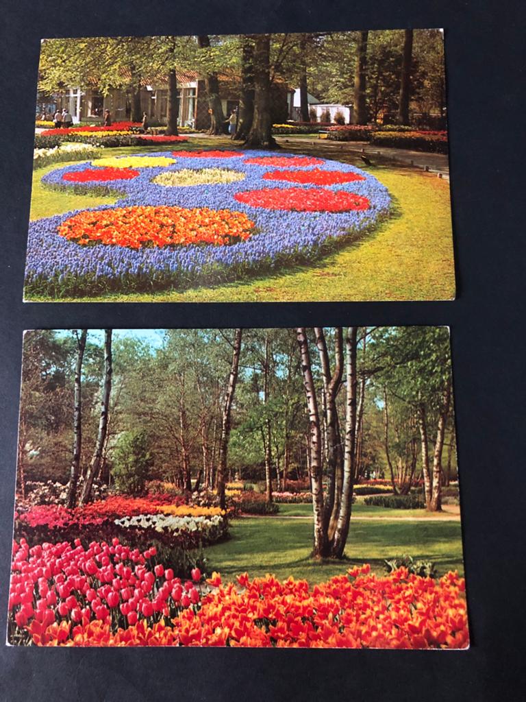 Ansichtkaarten gelopen Keukenhof Lisse 1983 per stuk bieden, Ophalen of Verzenden, 1980 tot heden, Gelopen, Noord-Holland