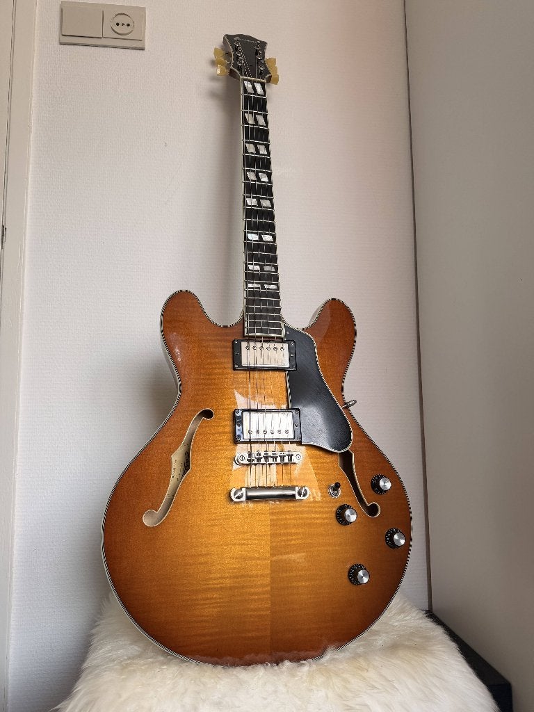 Eastman T486 GB, Muziek en Instrumenten, Snaarinstrumenten | Gitaren | Elektrisch, Ophalen, Gebruikt, Hollow body, Overige merken