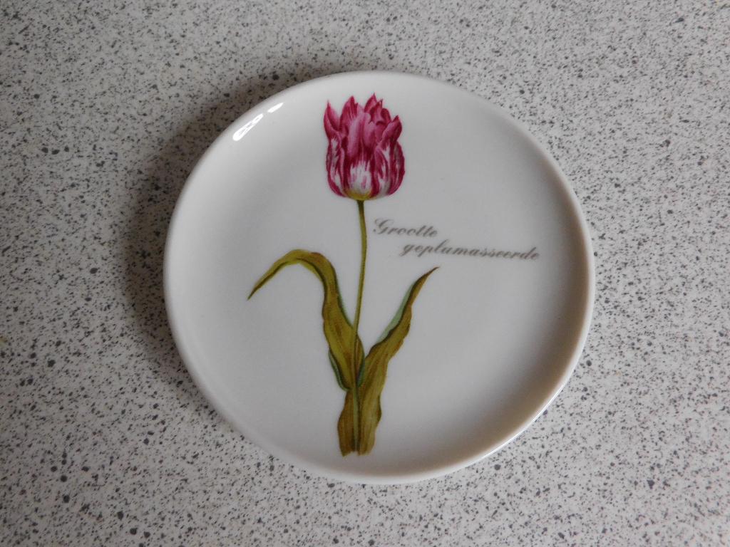 Bord 10 cm. Geplumasserde Holland Gallery de Munt Amsterdam, Overige merken, Ophalen of Verzenden, Zo goed als nieuw, Bord(en)
