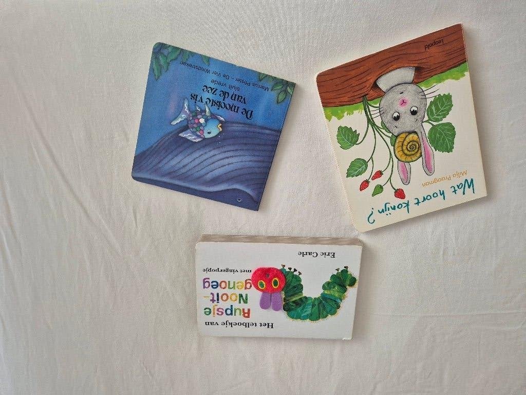 Kartonnen Boekjes 3 stuks, Ophalen of Verzenden, Gelezen, 1 tot 2 jaar