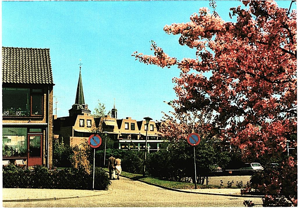806148 Berkel en Rodenrijs 1980 Laan van Rome onbeschreven