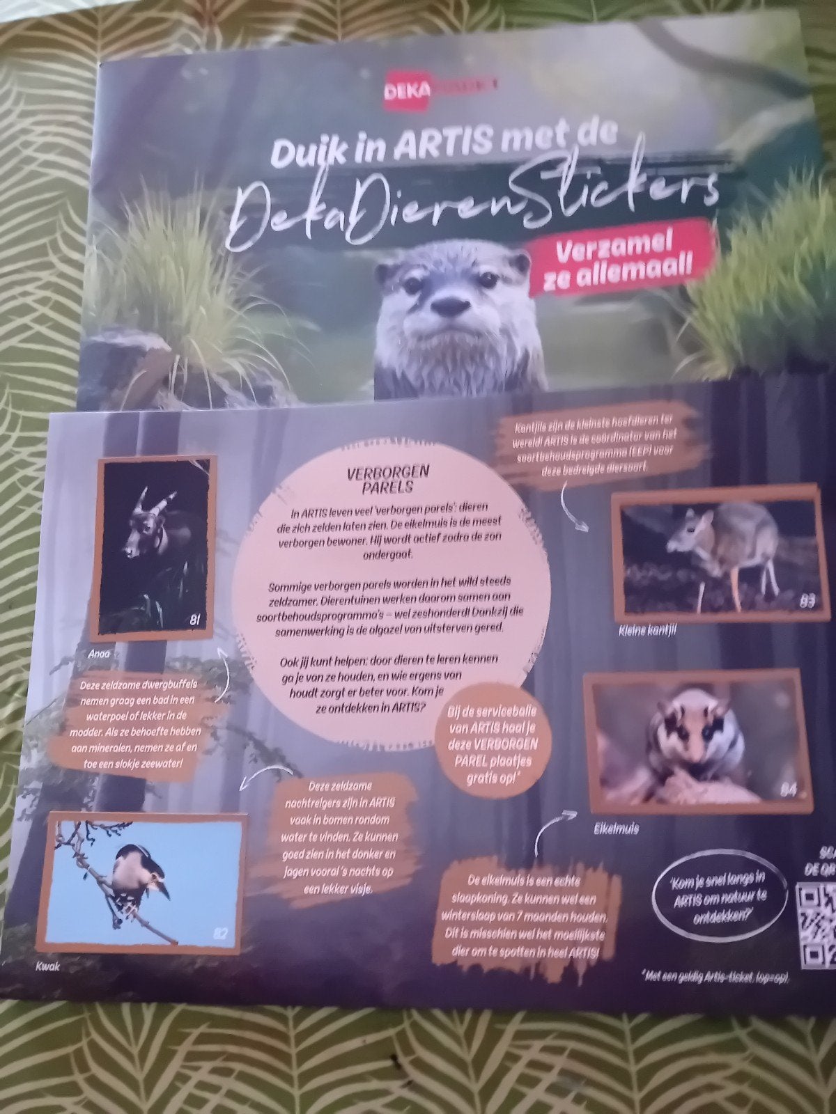ARTIS STICKERBOEKEN, Ophalen of Verzenden, Nieuw