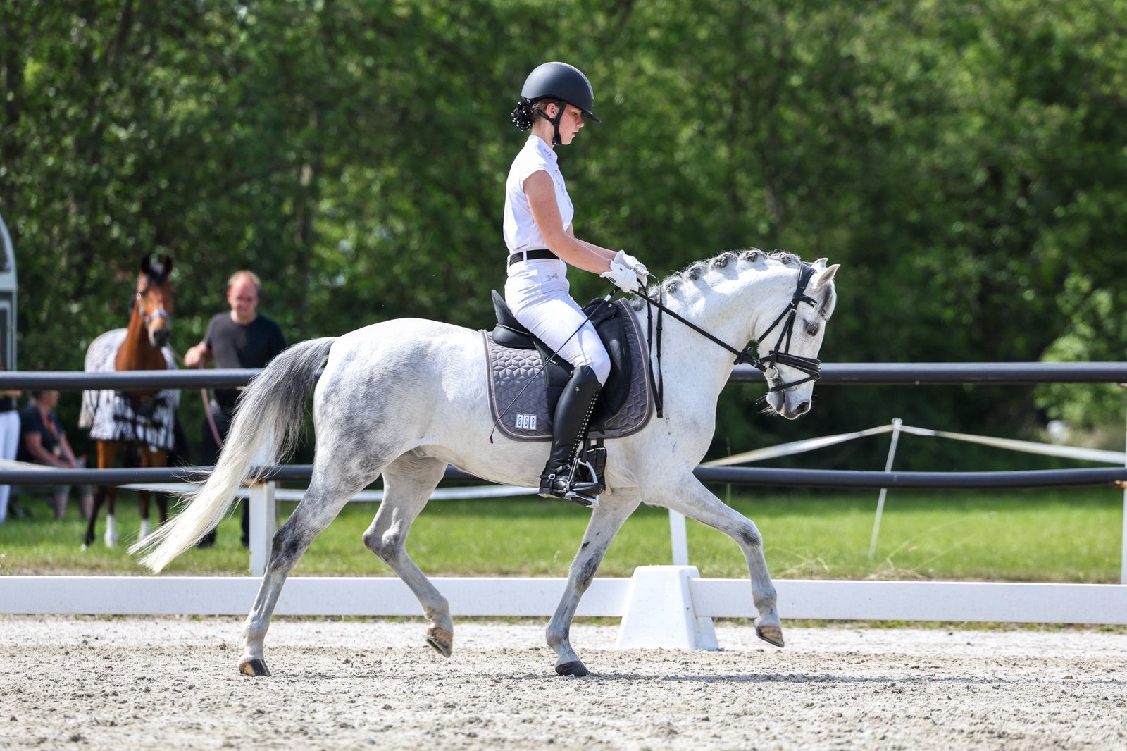 Lieve welsh C pony, Ruin, Dressuurpony, C pony (1.27m tot 1.37m), 11 jaar of ouder
