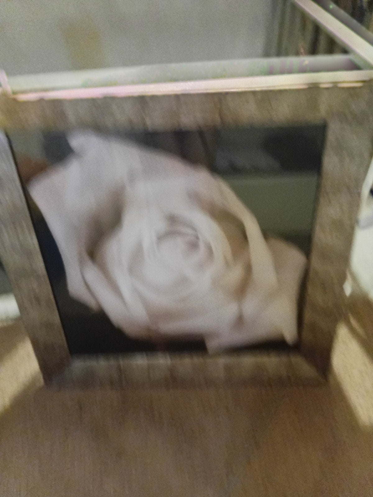 rozen schilderij met glasplaat, Ophalen