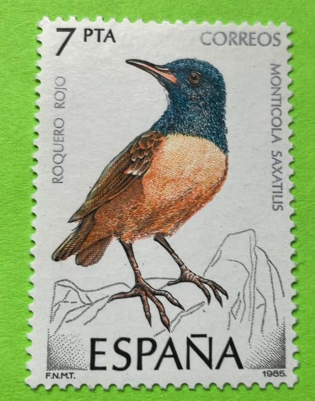 Vogel, Ophalen of Verzenden, Postfris, Dier of Natuur