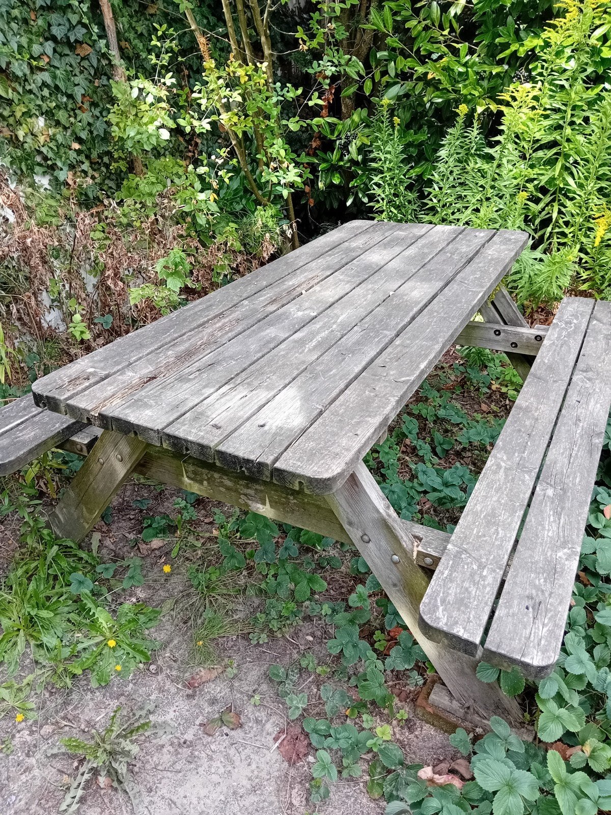 oude pciknick tafel gratis, Tuin en Terras, Ophalen, Gebruikt, Rechthoekig, Hout