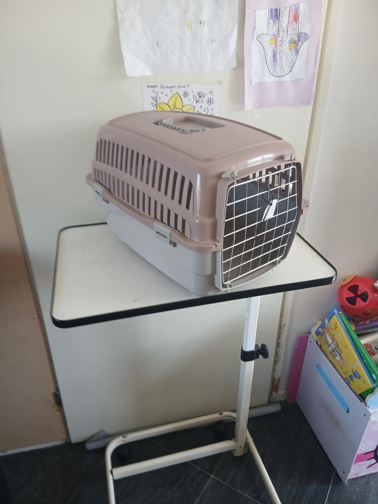 Mooie katten vervoers koffer nr 909, Ophalen of Verzenden, Zo goed als nieuw