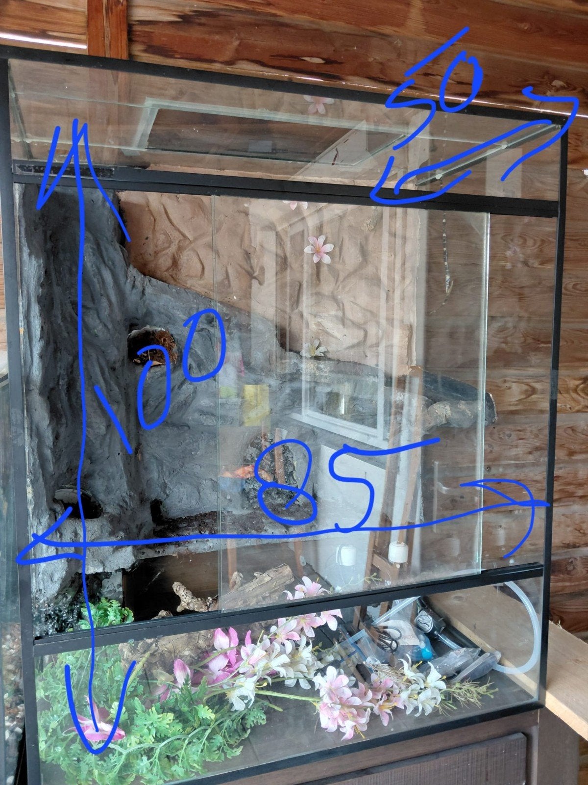 Mooi hoog paludarium/terrarium., Dieren en Toebehoren, Vissen | Aquaria en Toebehoren, Ophalen, Zo goed als nieuw, Leeg aquarium