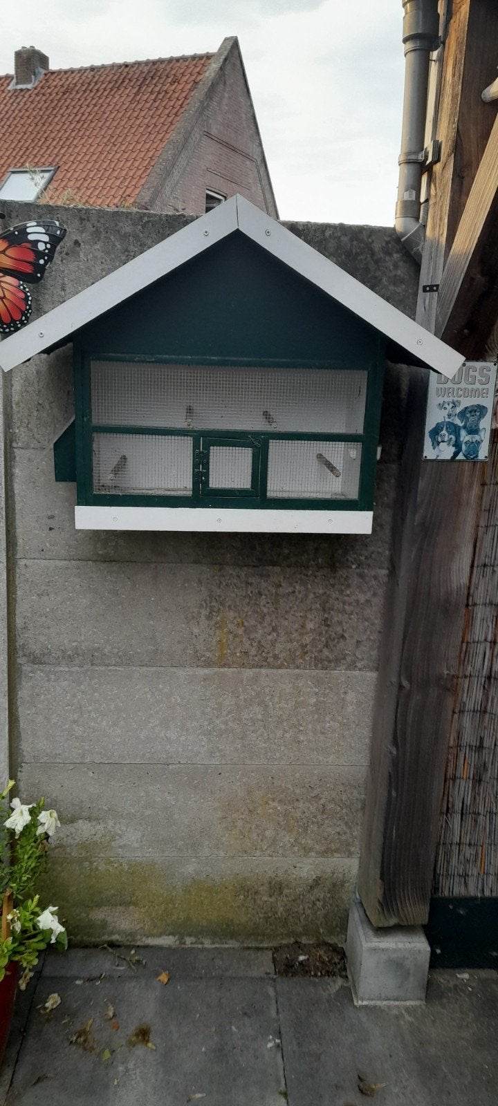 te koop ruime kooien, Ophalen of Verzenden, Vogelkooi