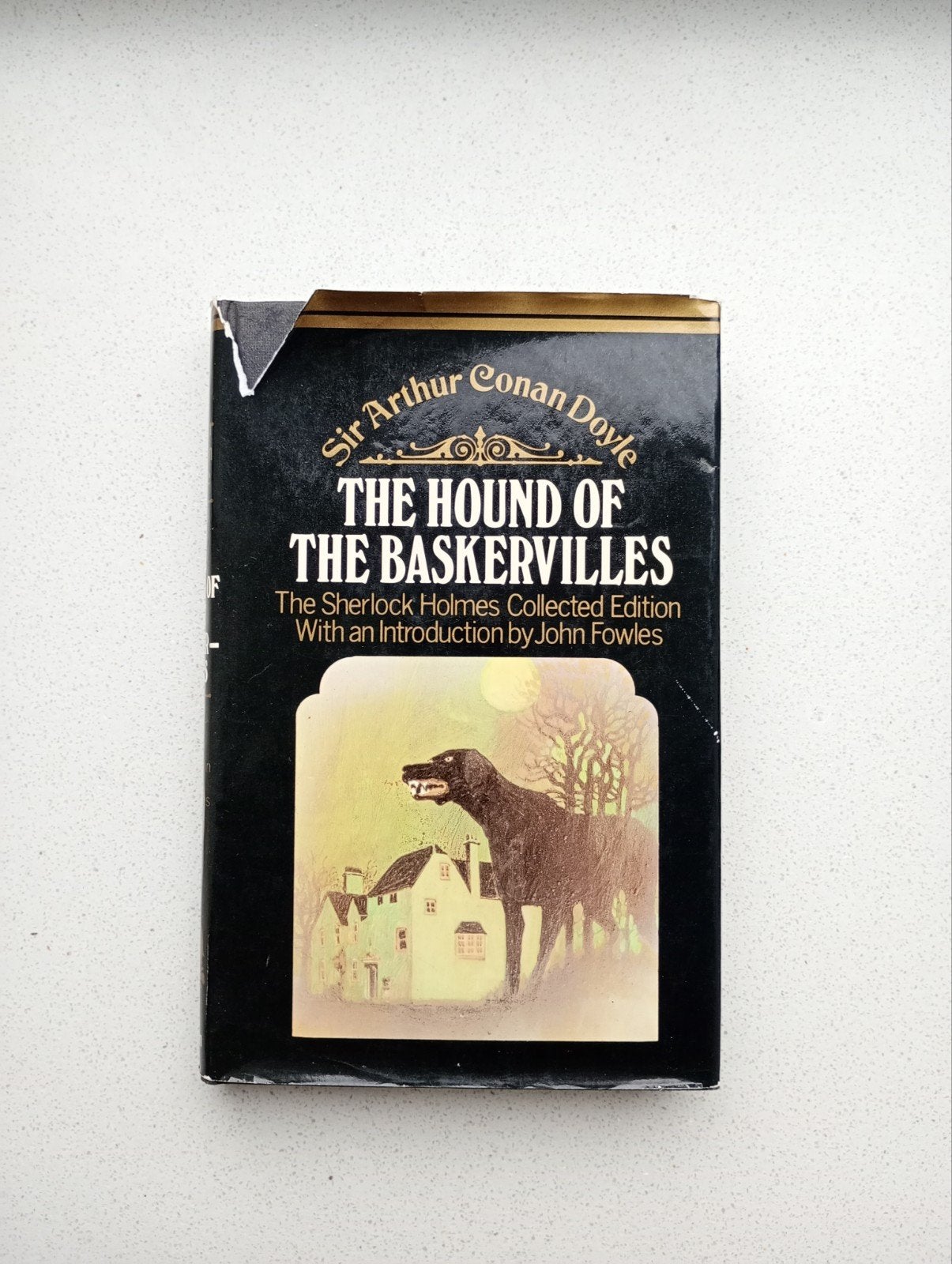 The Hound of the Baskervilles - Sir Arthur Conan Doyle, Ophalen of Verzenden, Gelezen